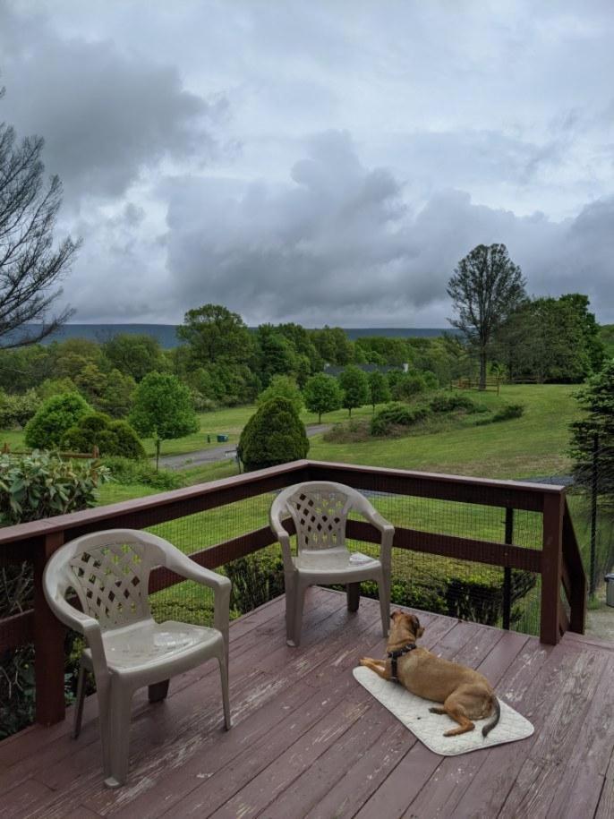Fenced Yard Chalets From Good Dog Vacations At Big Valley Resort Sciota Exterior photo